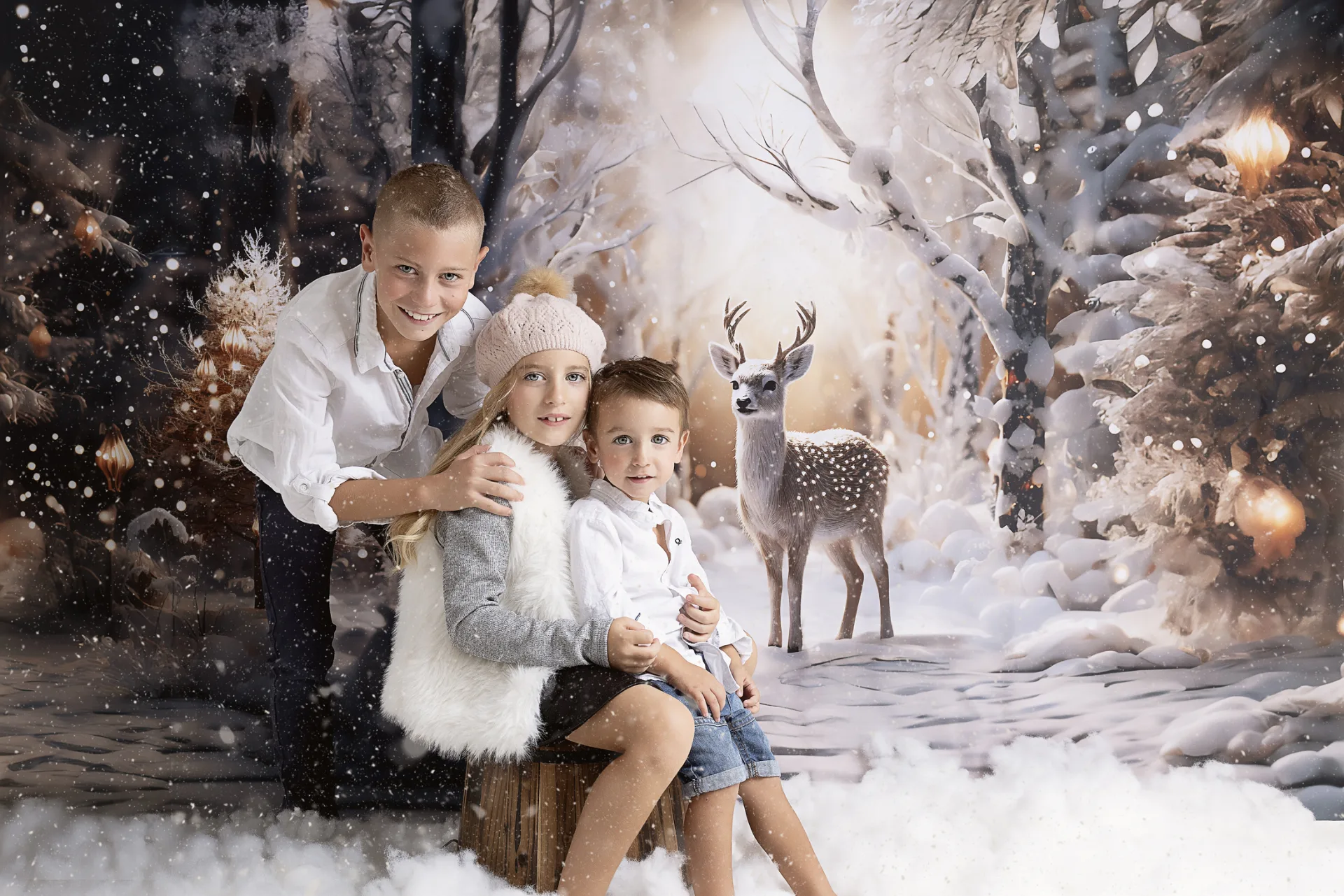 Décor de Noël « La Forêt enchantée » au studio Mini Moi