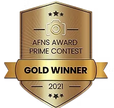 AFNS Award Prime Contest — Gold Winner 2021